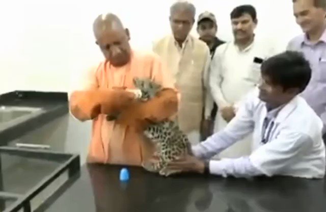 CM योगी ने जब तेंदुए के बच्चे को बोतल से दूध पिलाया..वीडियो हो रहा वायरल