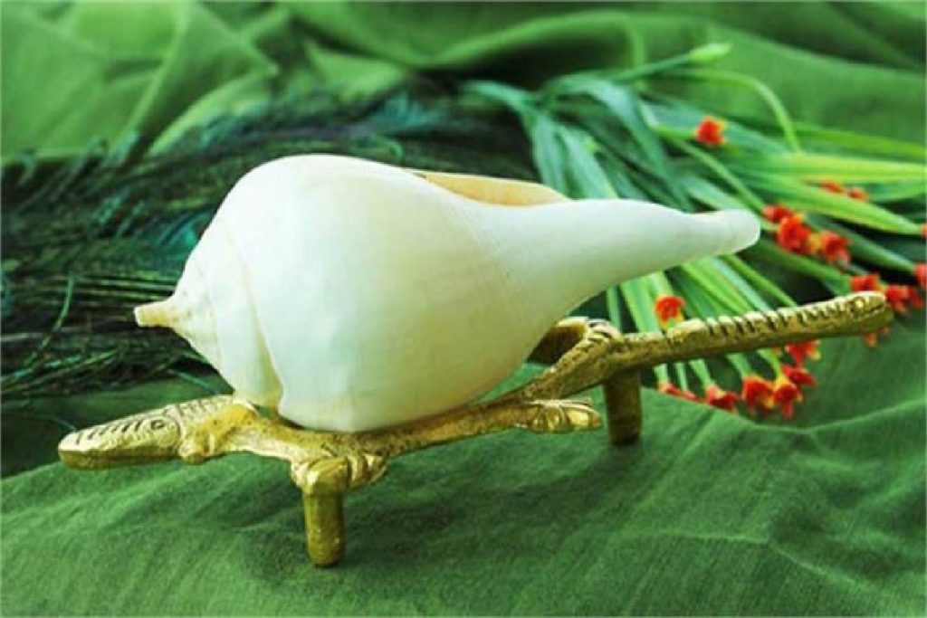 Dakshinavarti Shankh