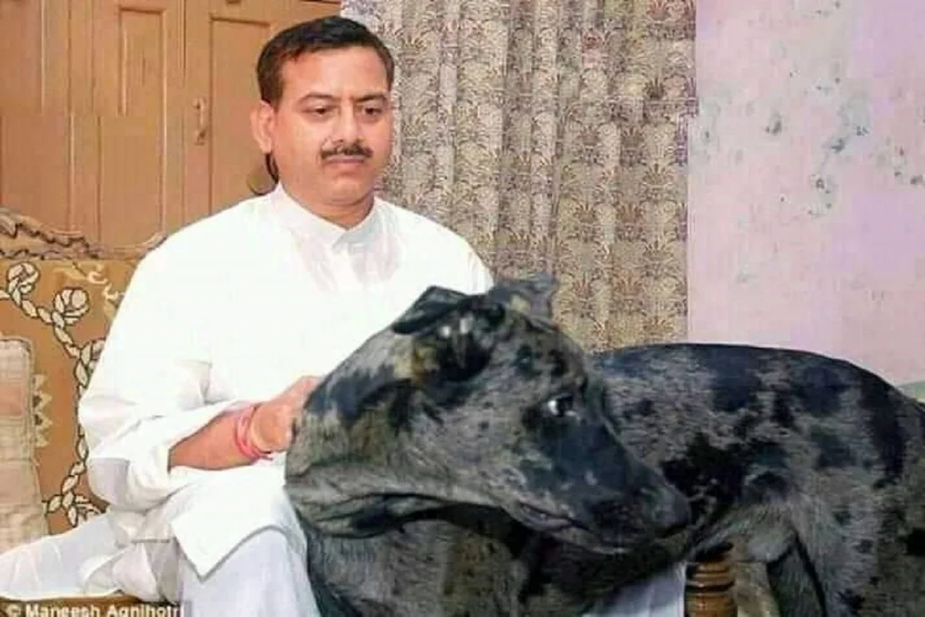 Krishnanand-Rai