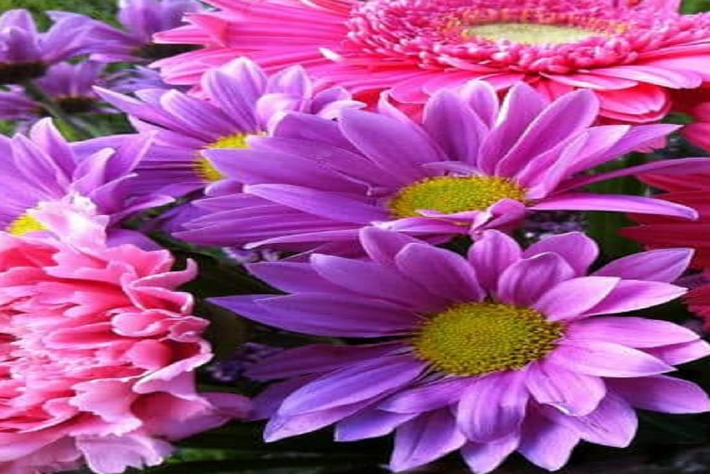 artificial flower