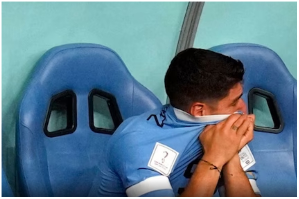 FIFA World Cup: दक्षिण कोरिया के हाथों पुर्तगाल की हार से Uruguay का कटा वापसी का टिकट, मैदान पर ही रो पड़े लुइस सुआरेज