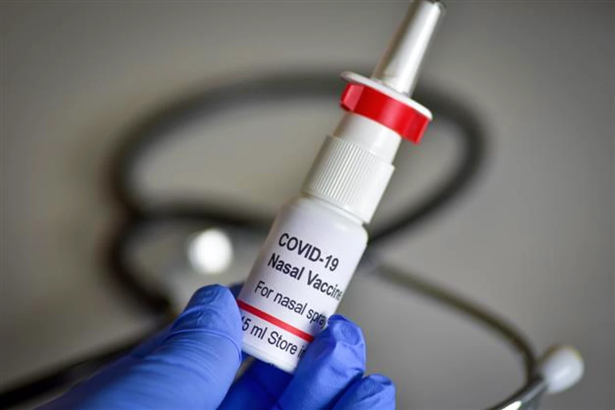 Covid Nasal Vaccine: कोरोना के बढ़ते खतरे के बीच नेजल वैक्सीन का दाम तय, जानिए कितना करना होगा खर्च