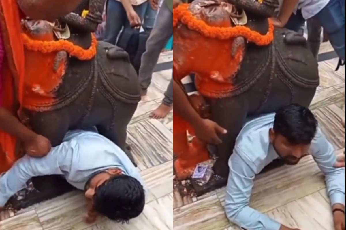 Viral Video: मनोकामना पूरी करने के चक्कर में हाथी की मूर्ति के नीचे फंस गया भक्त, बाहर निकलने में छूटे पसीने