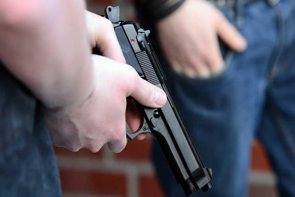 Gun