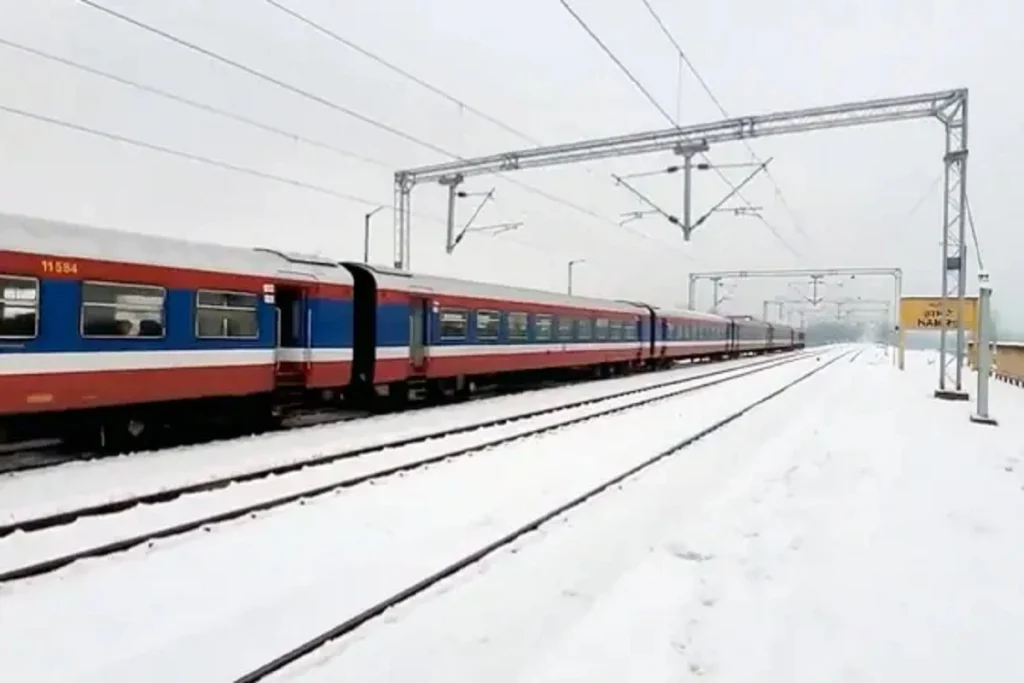 Train-Viral-Video