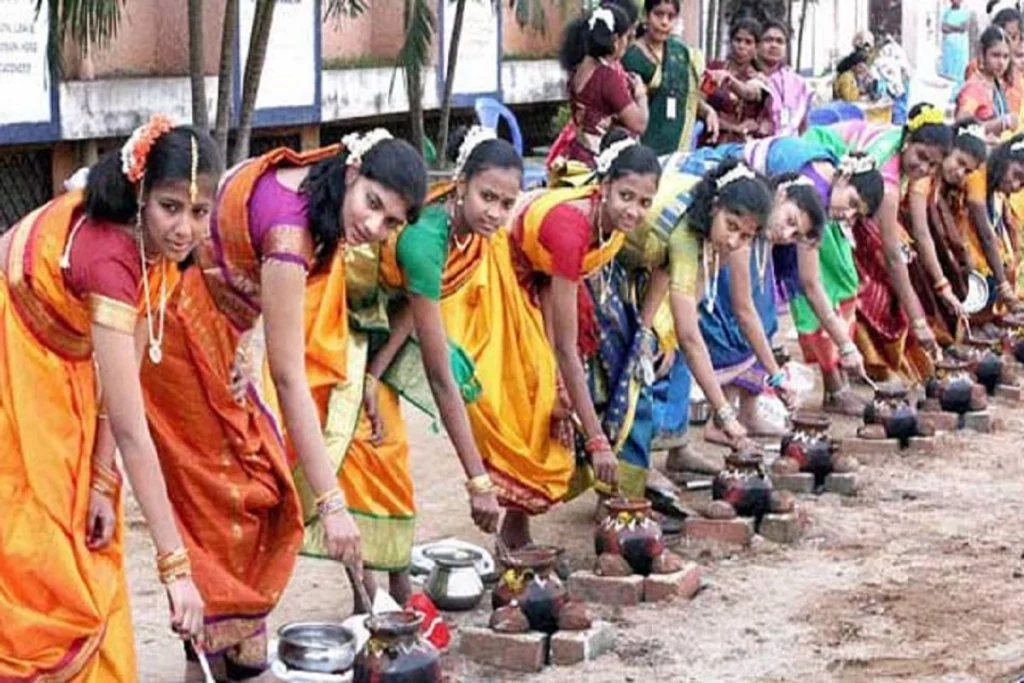 pongal-festival
