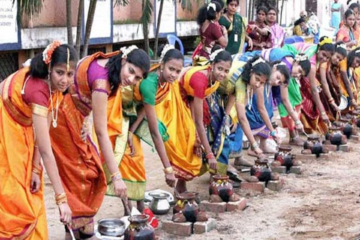 pongal-festival