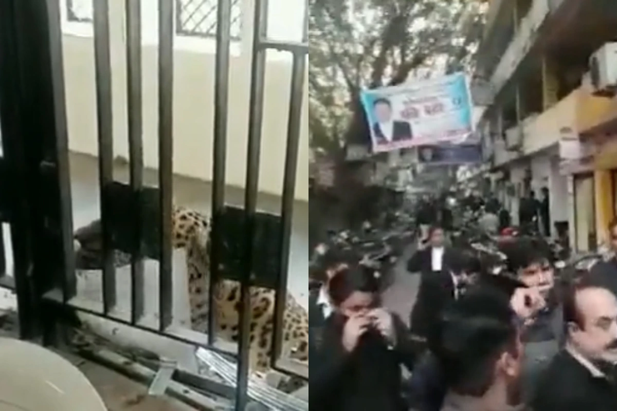 Video Viral: गाजियाबाद कोर्ट में घुसा तेंदुआ, मचा हड़कंप, कई लोगों को किया बुरी तरह घायल
