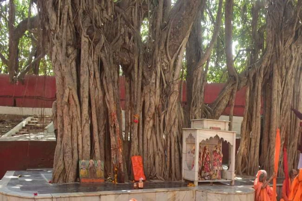 अकबर भी इस वृक्ष को नहीं कर पाया था नष्ट, भगवान श्रीराम और मां सीता से है खास नाता, ईश्वरीय शक्ति से जुड़े होने की मान्यता