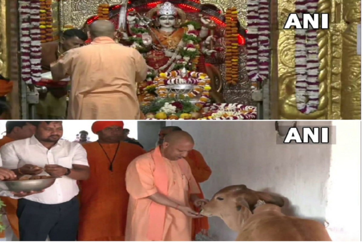 Chaitra Navratri 2023: यूपी के सीएम योगी ने देवी पाटन मंदिर में की पूजा-अर्चना, गायों को खिलाया चारा, मंदिर से लेकर घरों तक गूंज रहे मां के जयकारे
