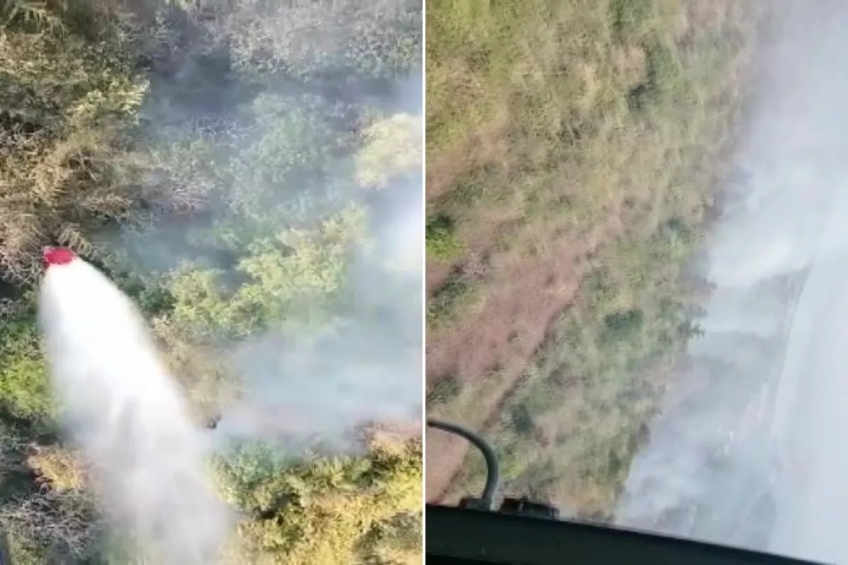 Goa: गोवा के जंगलों में लगी आग, नौसेना ने संभाला मोर्चा, कई हेलीकॉप्टरों ने भरी उड़ान