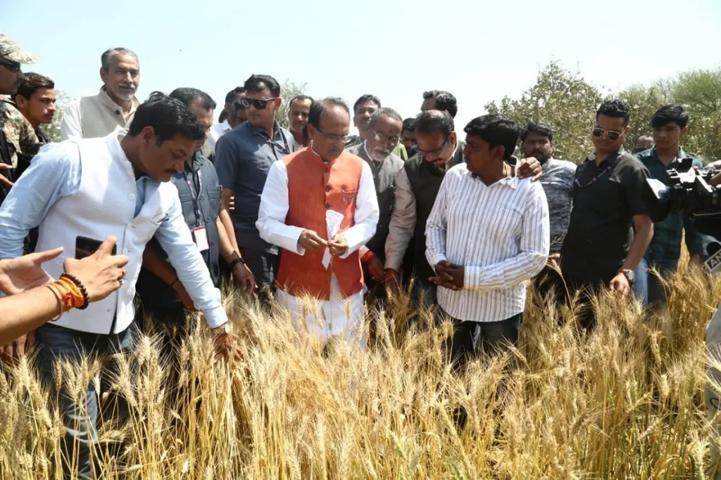 shivraj singh chouhan
