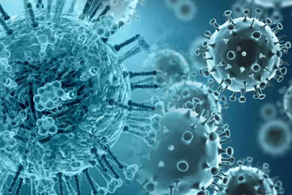 Influenza Virus