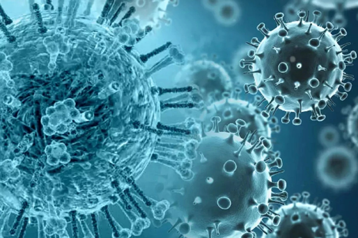 Virus: होली पर इन्फ्लुएंजा वायरस का खतरा, ऐसे रखें खास ध्यान, जाने क्या हैं लक्षण और बचने के उपाय
