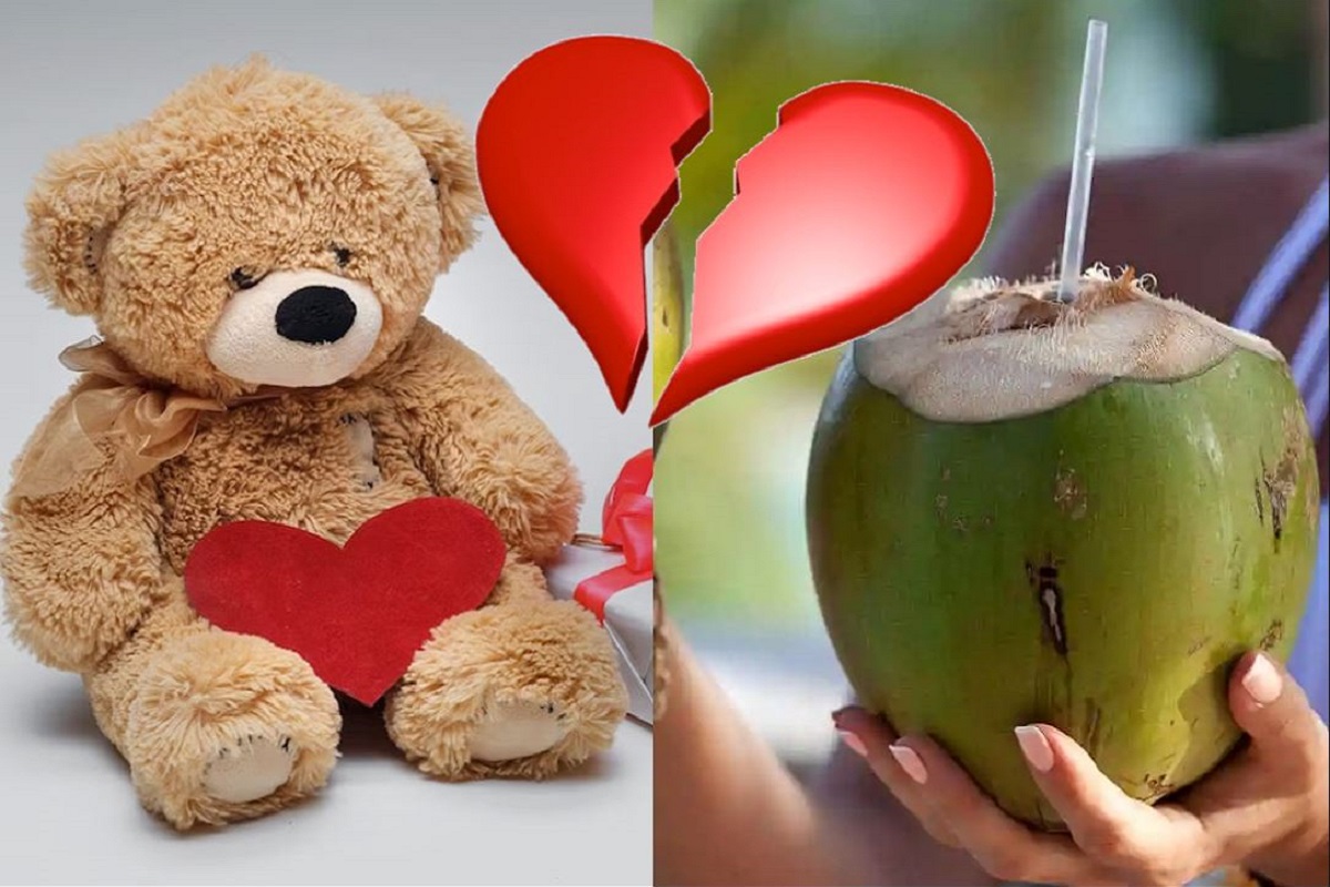 अजब-गजब: मंगनी टूटने पर युवती ने वापस मांगा अपना टेडी, युवक ने पकड़ा दिया नारियल पानी का बिल