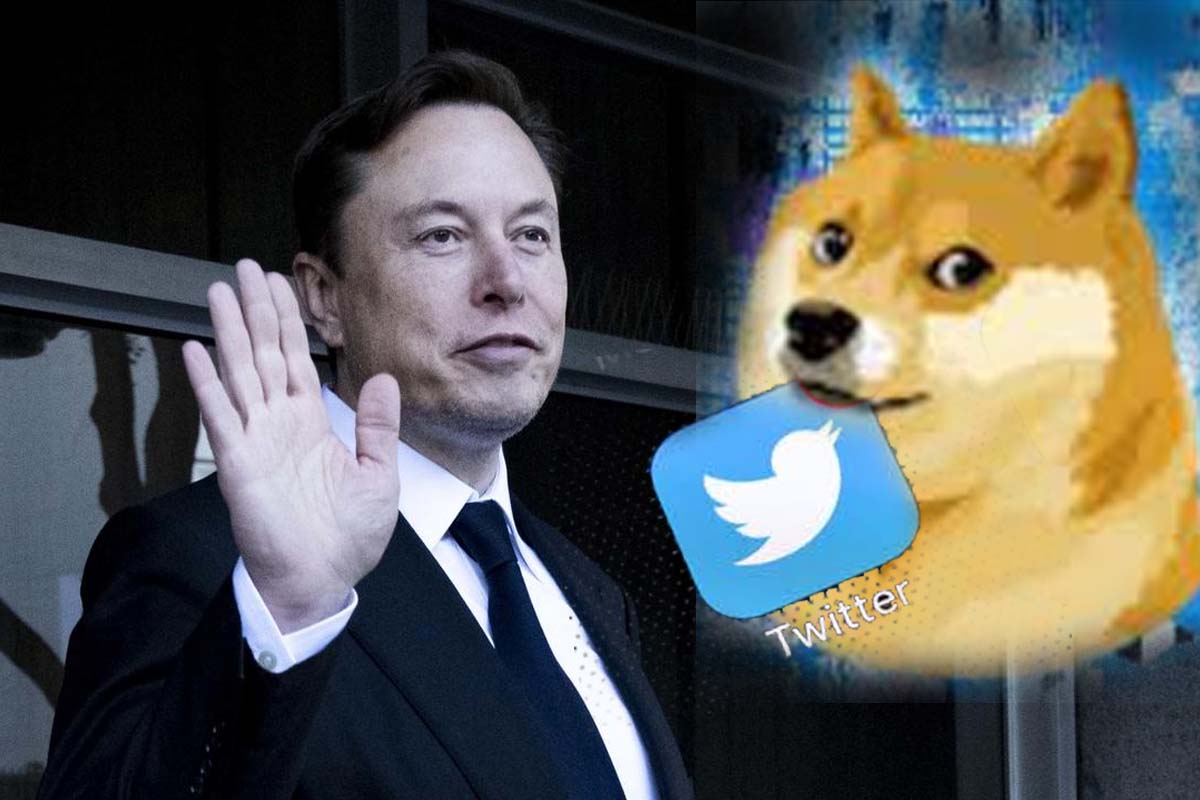 Twitter Logo: उड़ गई ट्विटर की नीले रंग की चिड़िया, आ गया मीम वाला Doge, एलन मस्क ने ट्विटर इतिहास में किया बदलाव, बदला Logo