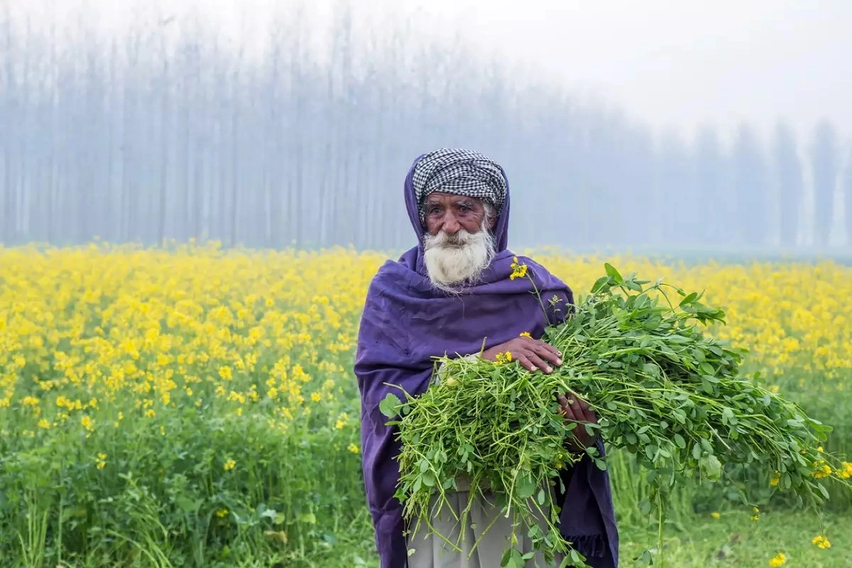 Punjab Village