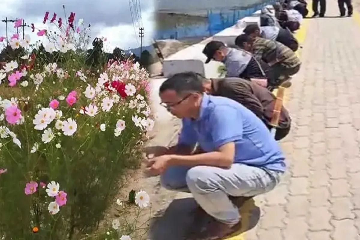 Arunachal Pradesh: जीरो में फूल लगाने के अभियान ने बनाया नया रिकॉर्ड, 3000 से अधिक लोग हुए शामिल