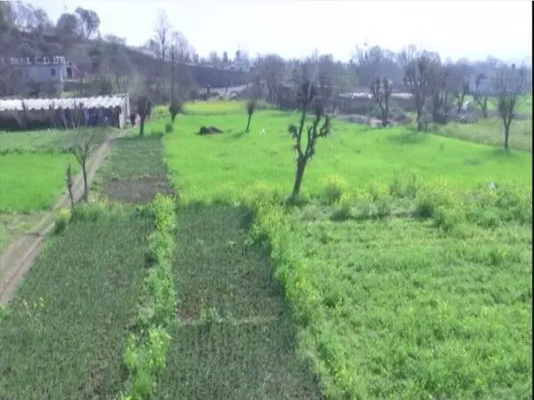 जम्मू और कश्मीर में छोटे किसानों ने कृषि-अर्थव्यवस्था में लिखा नया अध्याय