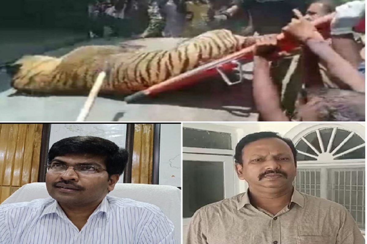 Lakhimpur: 45 दिन में 4 चार बाघ और एक तेंदुए की मौत के बाद हटाए गए दुधवा नेशनल पार्क के फील्ड डायरेक्टर, 10 अन्य के खिलाफ भी एक्शन