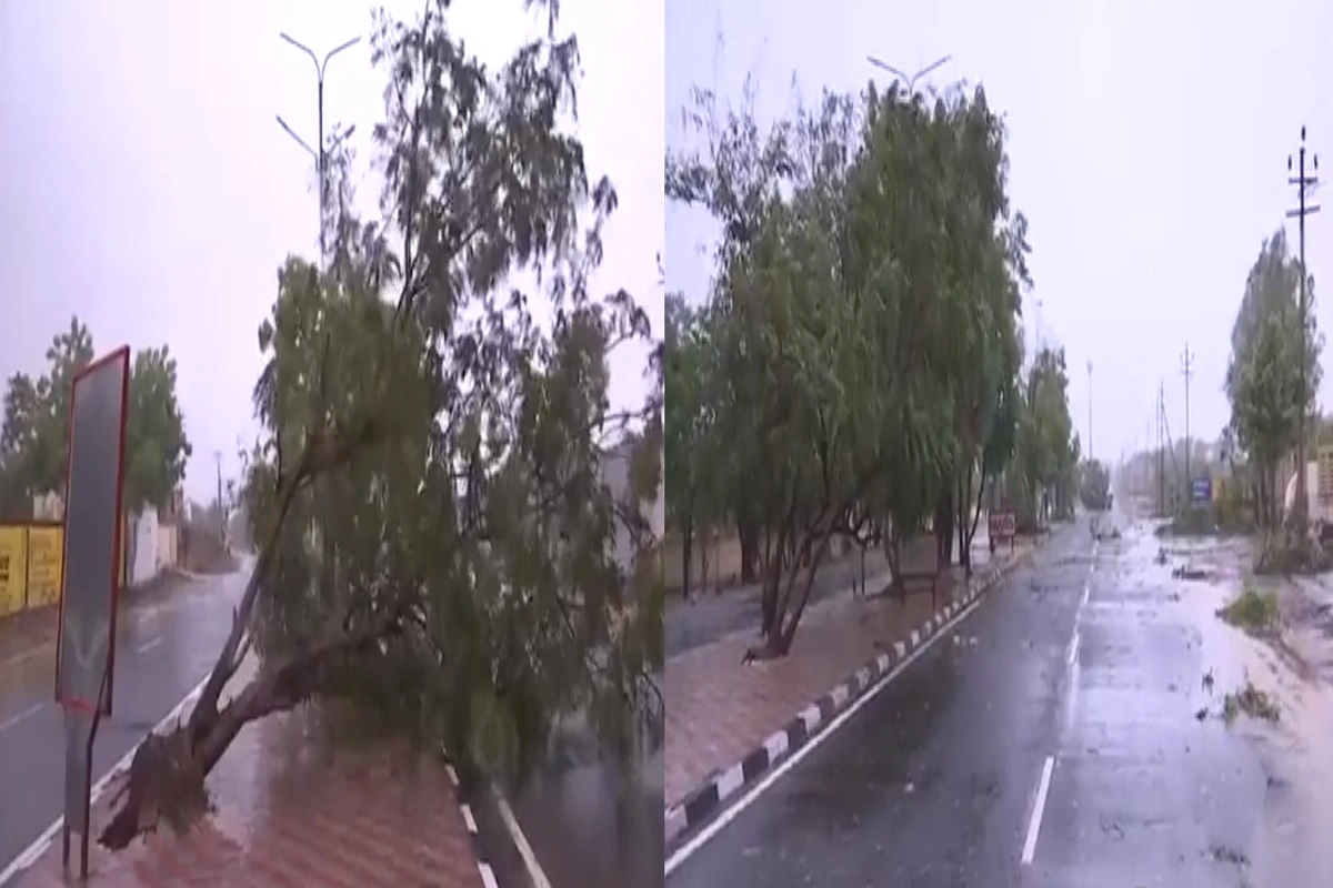 गुजरात में Cyclone Biparjoy ने मचाई तबाही, कहीं उखड़े पेड़ तो कहीं टूटे बिजली के खंभे और तार, 23 मवेशियों की हुई मौत तो 22 लोग हुए घायल