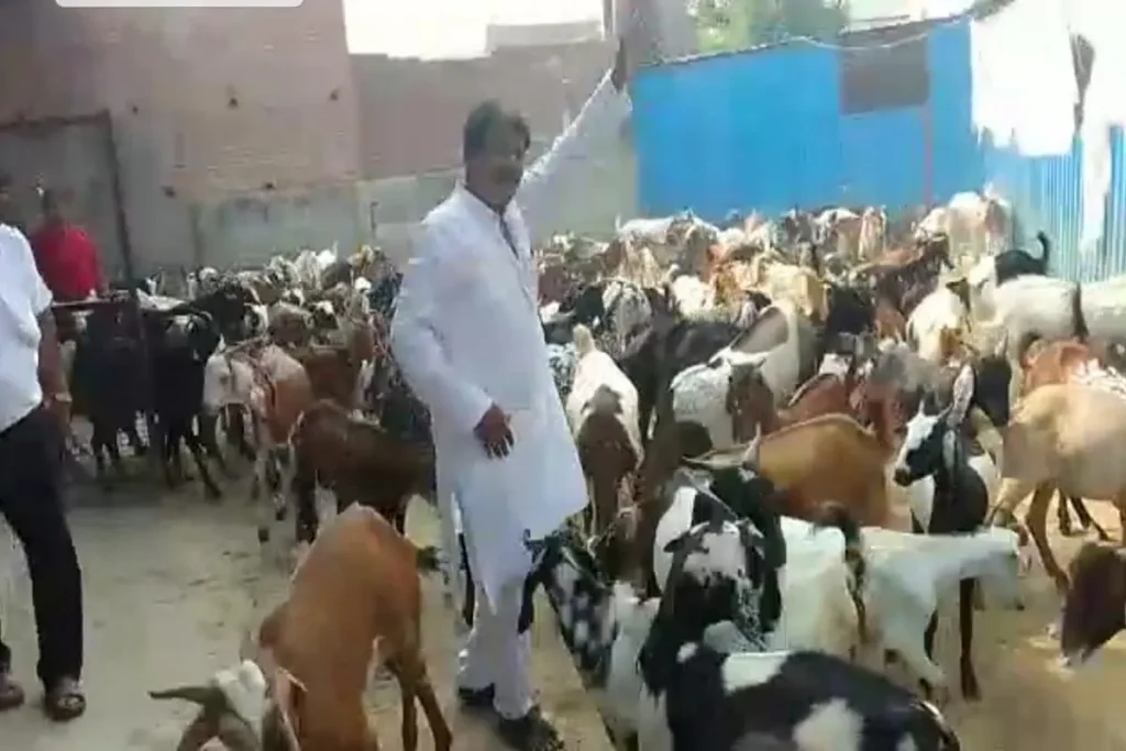 bakrid
