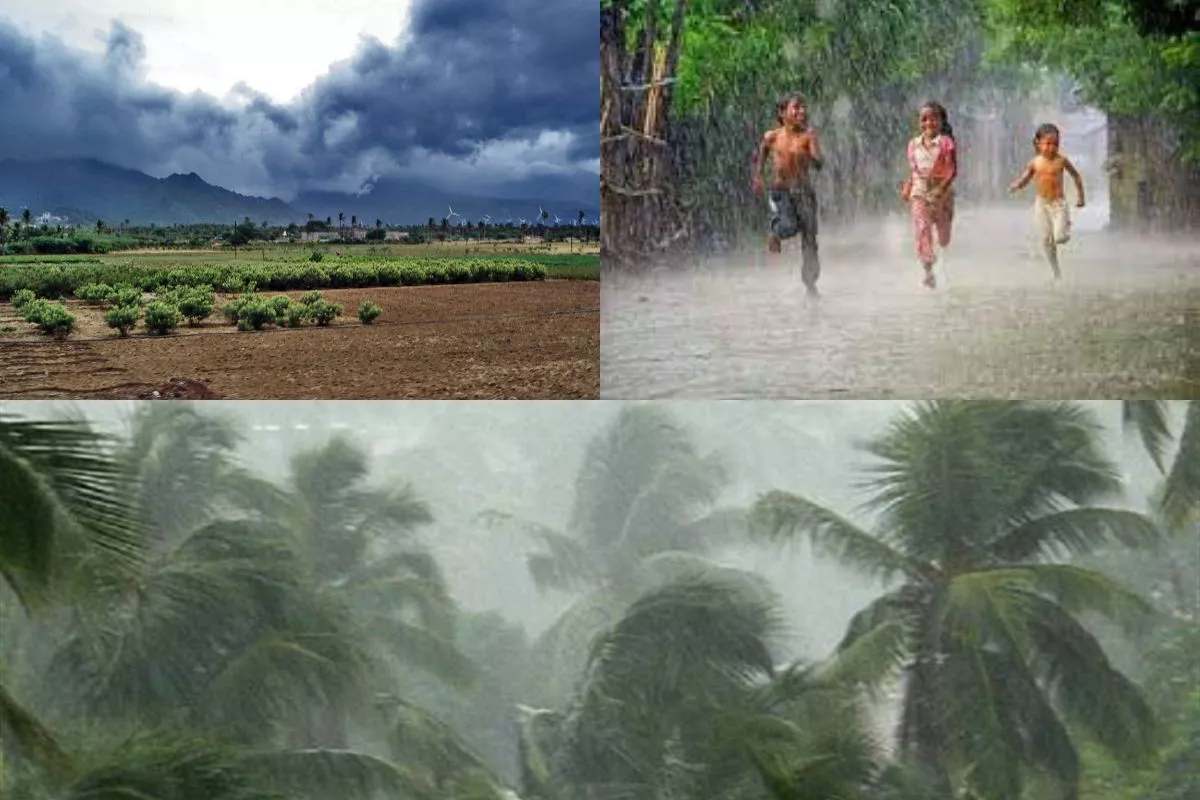 Monsoon 2023: भीषण गर्मी से मिलेगी राहत, अगले 48 घंटे में केरल में होगी झमाझम बारिश, IMD ने जारी किया फोरकास्ट