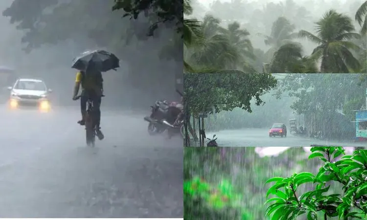 Monsoon Update: देर से ही सही मानसून ने केरल में दिया दस्तक, झमाझम बारिश से मौसम हुआ सुहाना