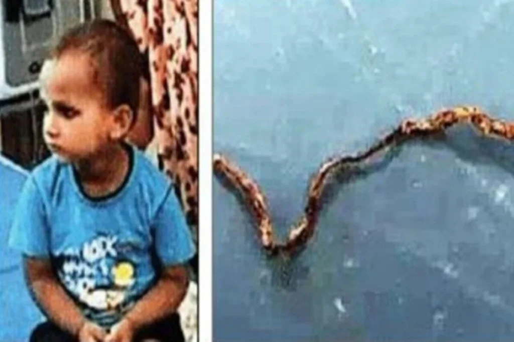 chews living snake