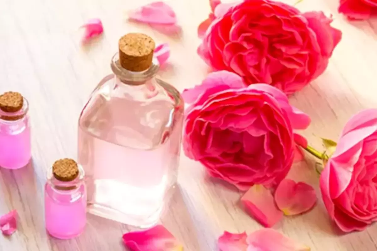 Rose Water Benefits: गुलाब जल से होते हैं ये 3 फायदे, जानें, इस्तेमाल करने के तरीके