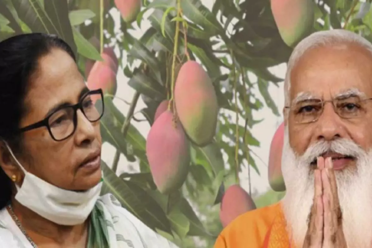 Mamta Banerjee sent mangoes to PM Modi