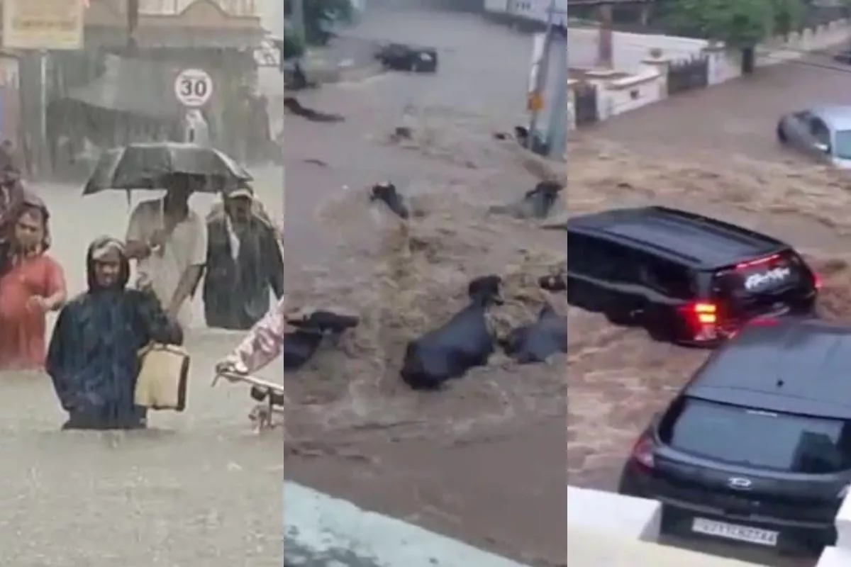 Junagadh Flood Video: जूनागढ़ में कुदरत का कहर; सड़कें बनी समुंदर, सैलाब में तिनके की तरह बहती दिखीं गाड़ियां