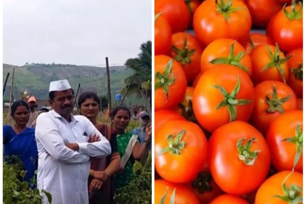 टमाटर बेचकर करोड़पति बना पुणे का किसान