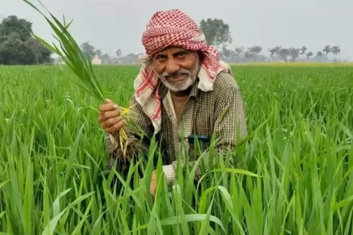 खुशखबरी! पीएम किसान योजना की 14वीं किस्त जारी, करोड़ों किसानों के खाते में डाले गए दो-दो हजार रुपये