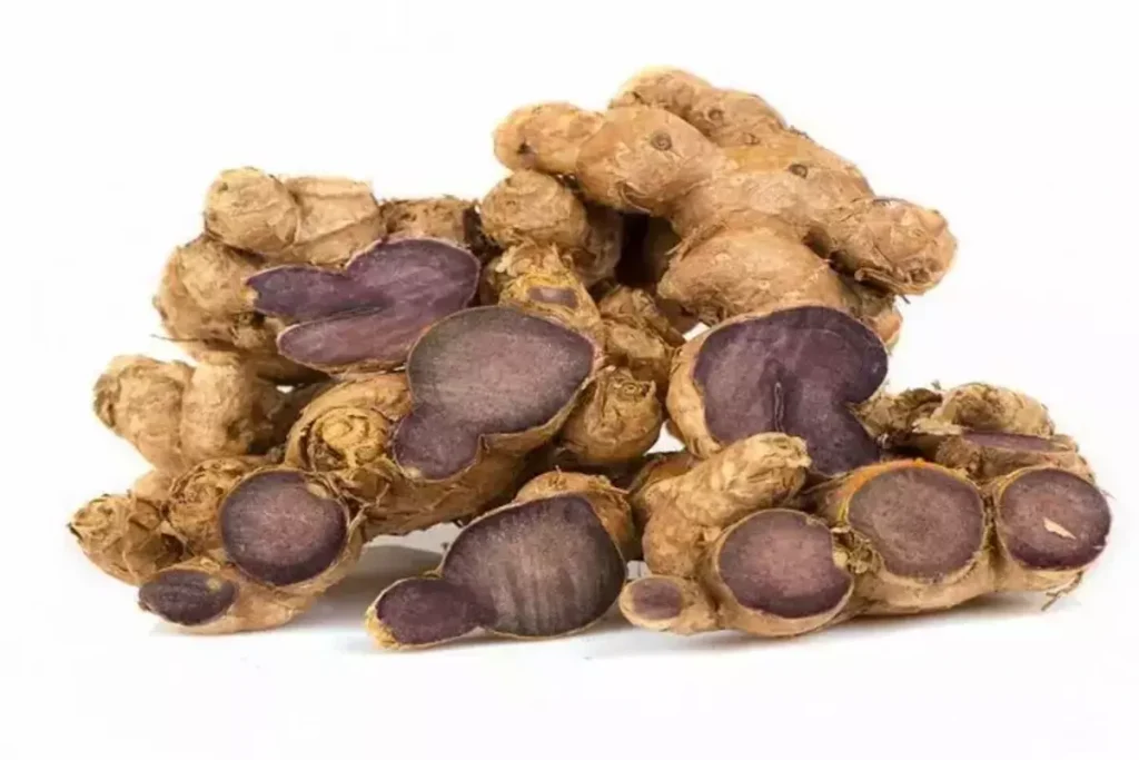 काली हल्दी