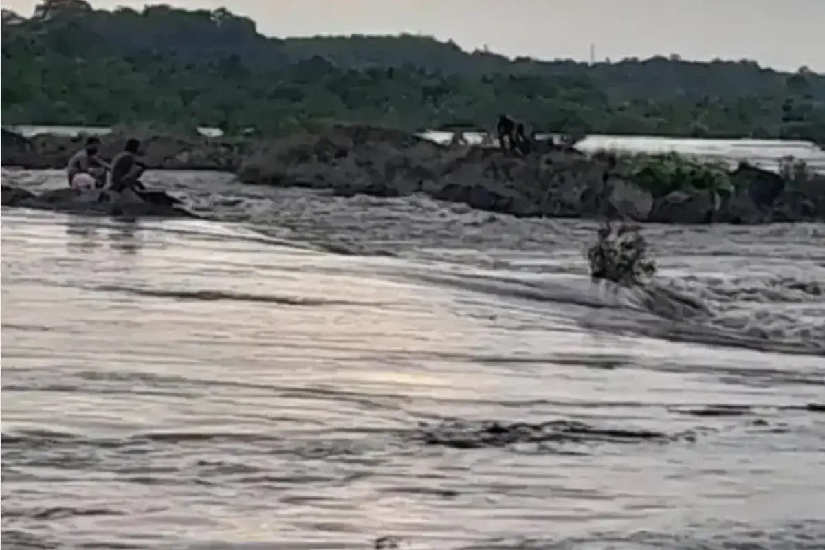 नर्मदा नदी के टापू पर फंसे चार मछुआरे, NDRF की टीम ने 13 घंटे लगातार अभियान चलाकर सभी को निकाला सुरक्षित