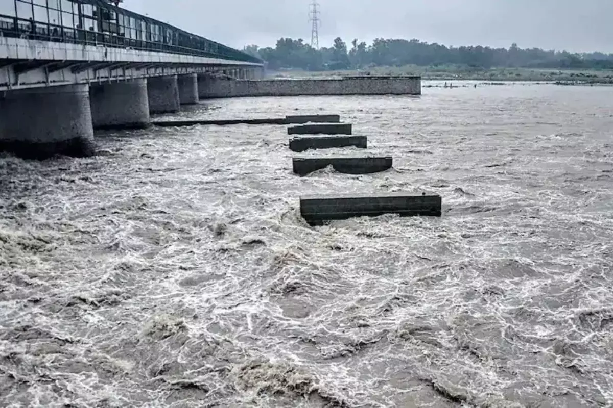 यमुना नदी में फिर बढ़ा जलस्तर, खतरे के निशान को किया पार, 22 जुलाई को यूपी समेत इन राज्यों में भारी बारिश का अलर्ट जारी