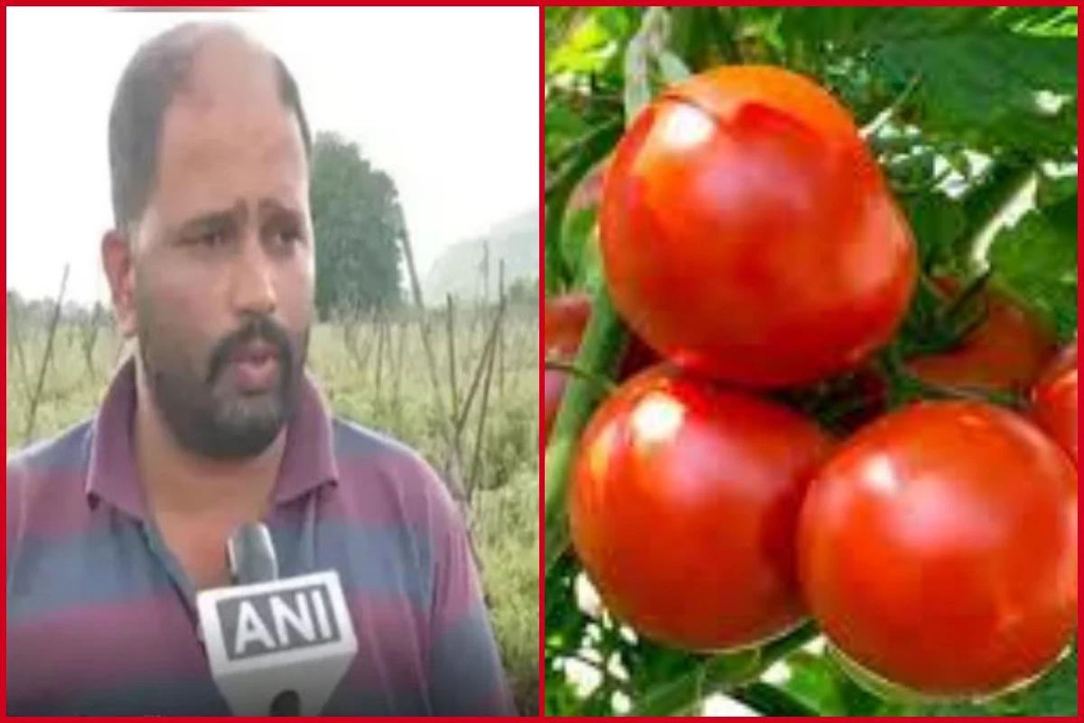 Tomato Farmer Crorepati:: टमाटर ने किसान की चमकाई किस्मत, रातों रात बना दिया करोड़पति, वजह जानकर आप भी कहेंगे वाह..