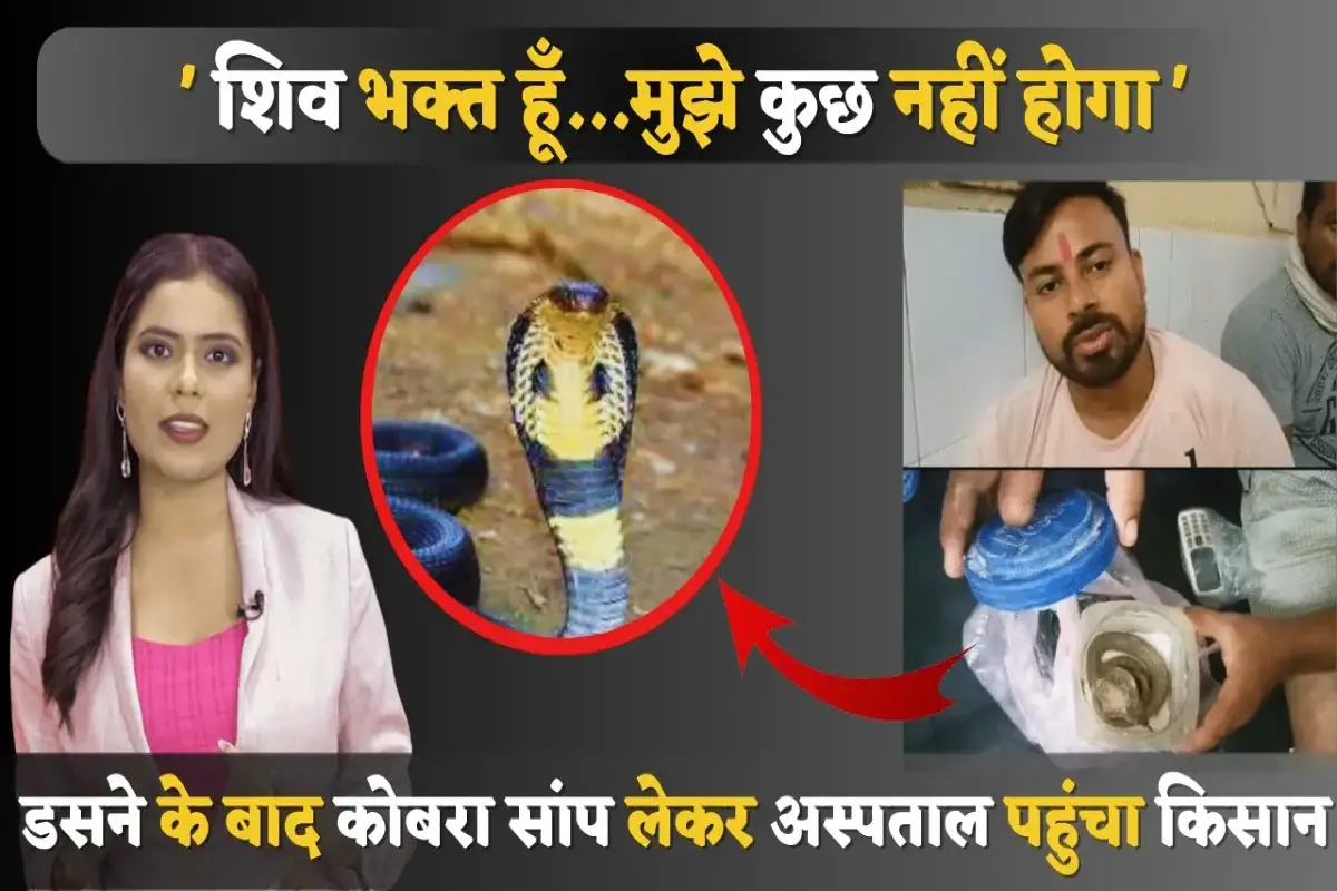 Kushinagar: डसने के बाद कुत्ते की मदद से युवक ने पकड़ा कोबरा सांप, दूध पिलाते हुए पहुंचा अस्पताल
