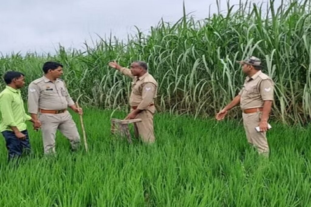 UP Police Crime News