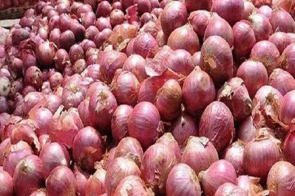 Onion Export
