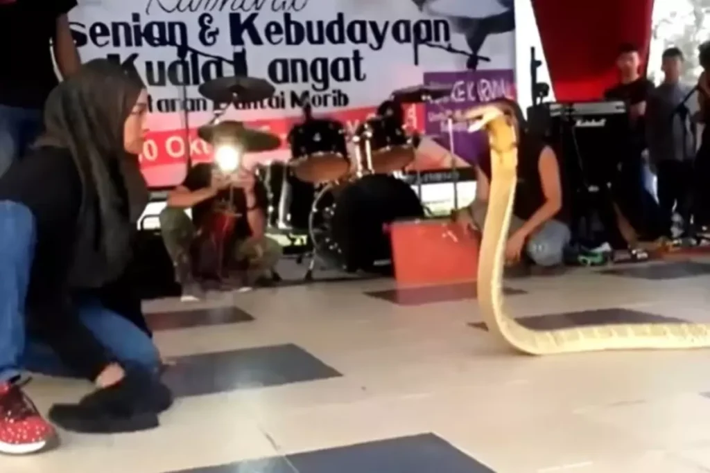 Viral Video