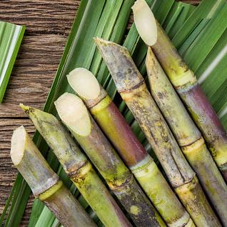 pieces of sugar cane on a wooden table