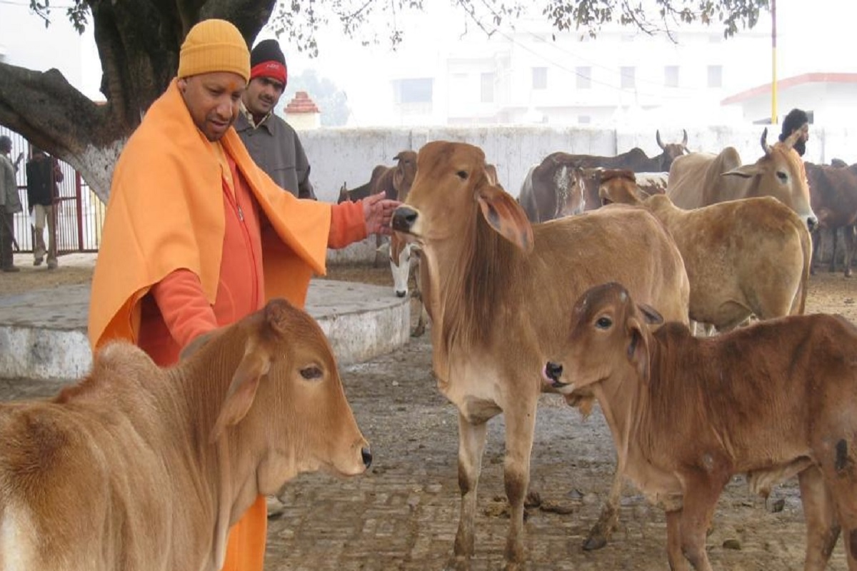 UP News: गो सेवकों को मुख्यमंत्री योगी की बड़ी सौगात, बढ़ाई गई भरण-पोषण की राशि