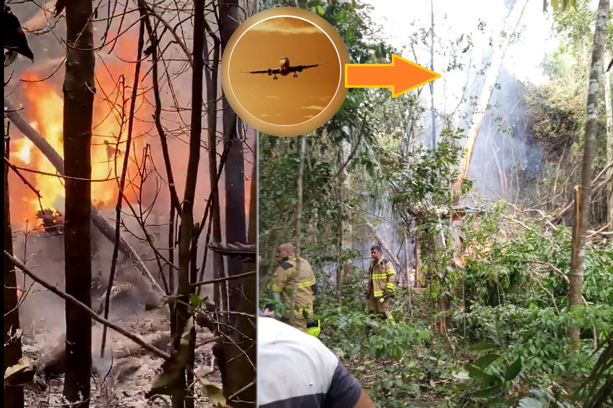Plane Crashes Today: अमेजन के जंगलों में गिरा हवाई जहाज, 12 लोगों की मौत, सामने आया जलते मलबे का VIDEO