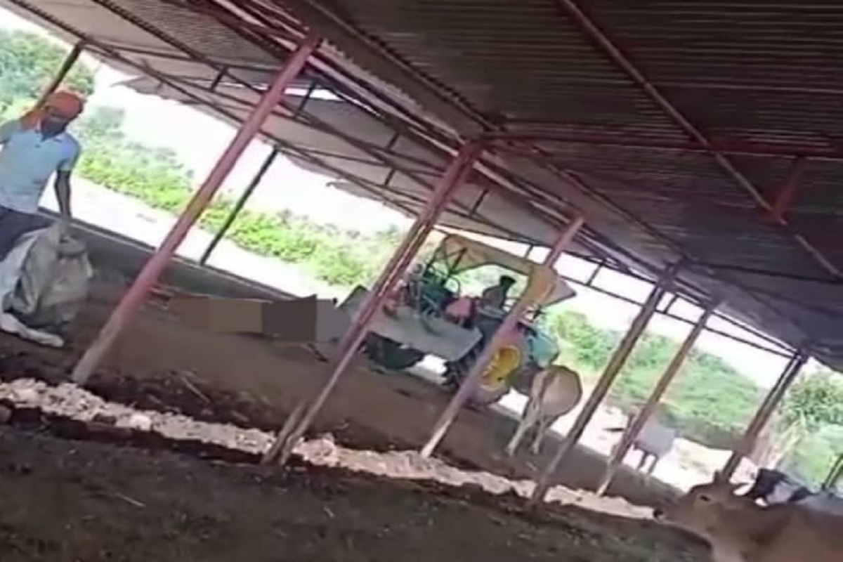 Sultanpur: गोवंश के शवों को ट्रैक्टर से घसीटा, वीडियो वायरल होने के बाद डीएम ने ग्राम विकास अधिकारी को किया सस्पेंड