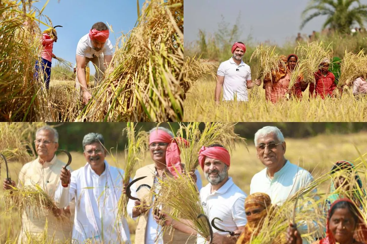 Rahul Gandhi