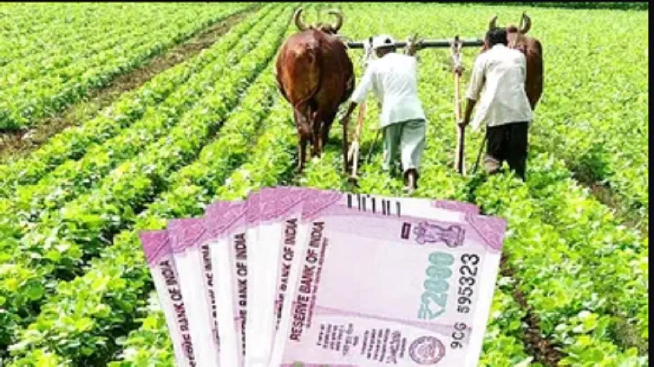 pm-kisan-yojana mnklvsdc