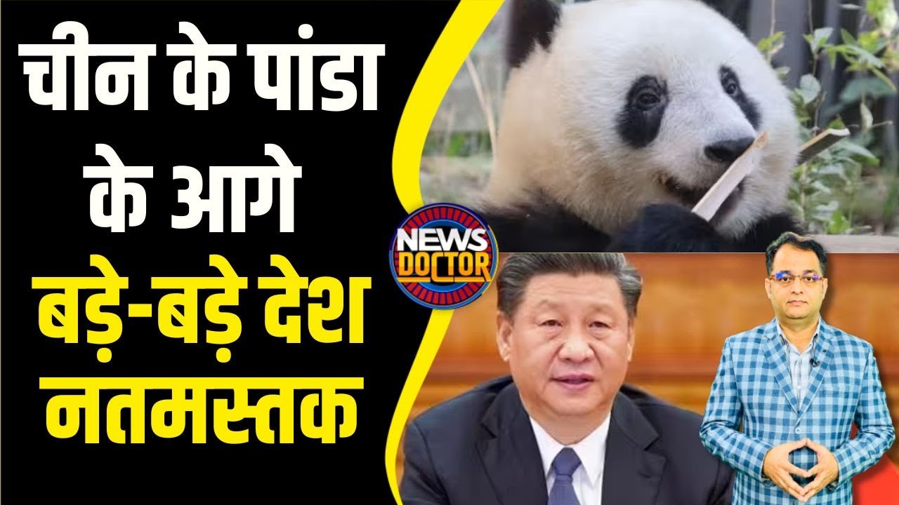 Xi Jinping की ‘Panda Diplomacy…’, समझिए- क्यूट सा दिखने वाला जानवर चीन के लिए कैसे बना हथियार