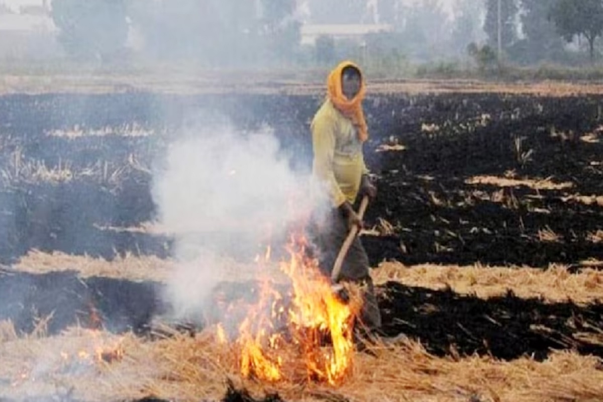 Banda News: पराली जलाने पर दो दर्जन से अधिक किसानों पर की गई बड़ी कार्रवाई, वसूला गया भारी भरकम जुर्माना, DM ने अधिकारियों को भी दी चेतावनी
